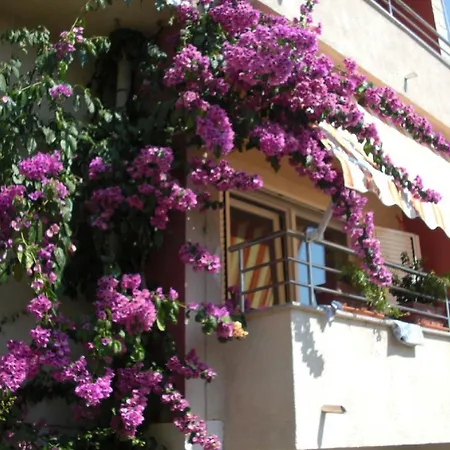 Villa Dinastija Kali Zimmer foto