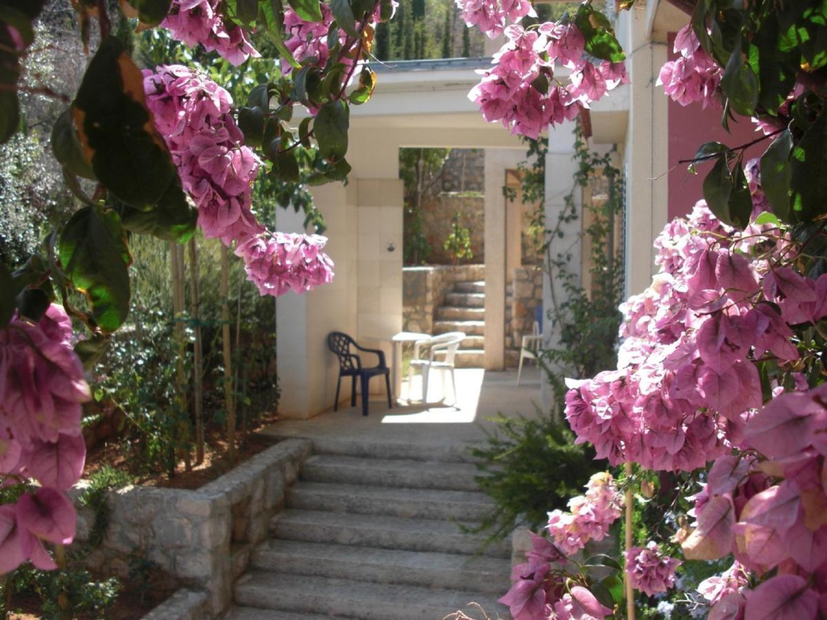 Dinastija Apartment Kali
