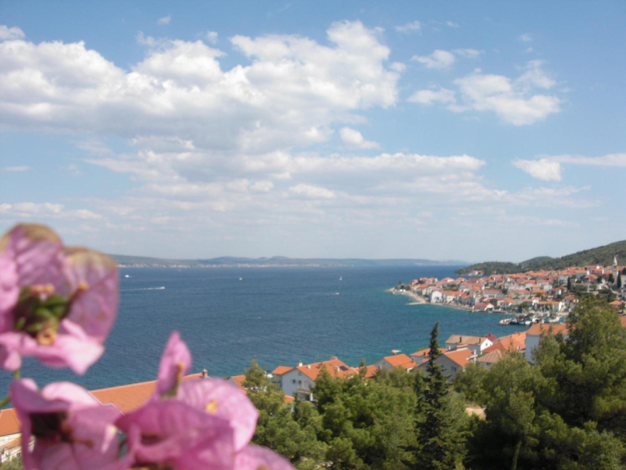 Dinastija *
