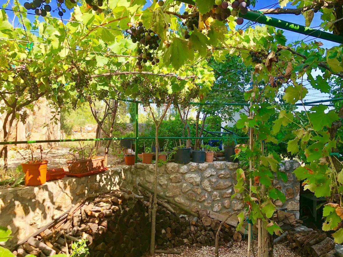 Apartment Dinastija Kali